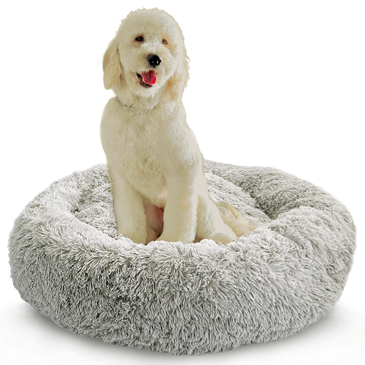 Buy & Sell > Pet Supplies > Large Pet Bed