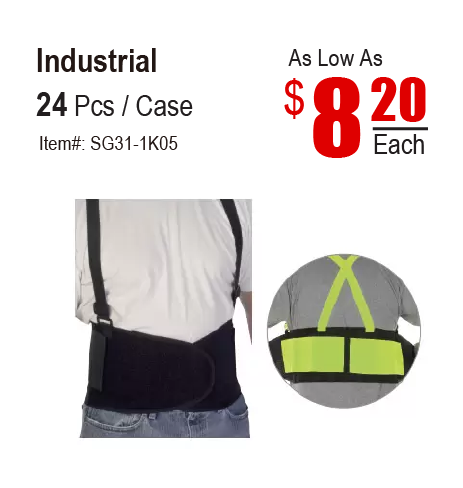 Back Support Belt