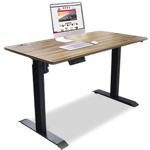 Electric Adjustable Desk