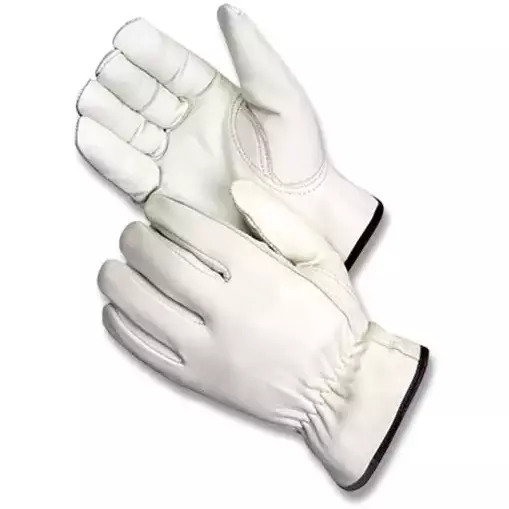 Rewards > 750 Point Rewards > Leather Drivers Gloves