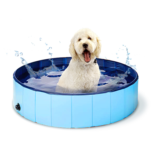 Buy & Sell > Pet Supplies > Foldable Pet Pool